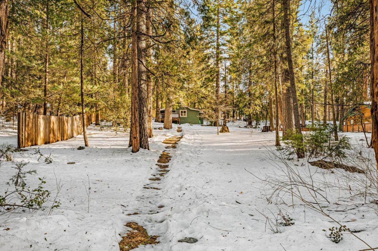 Creekside Cabin Hotel Idyllwild Esterno foto