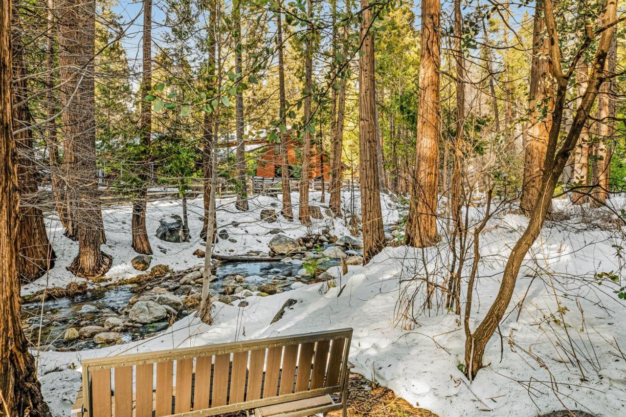 Creekside Cabin Hotel Idyllwild Esterno foto