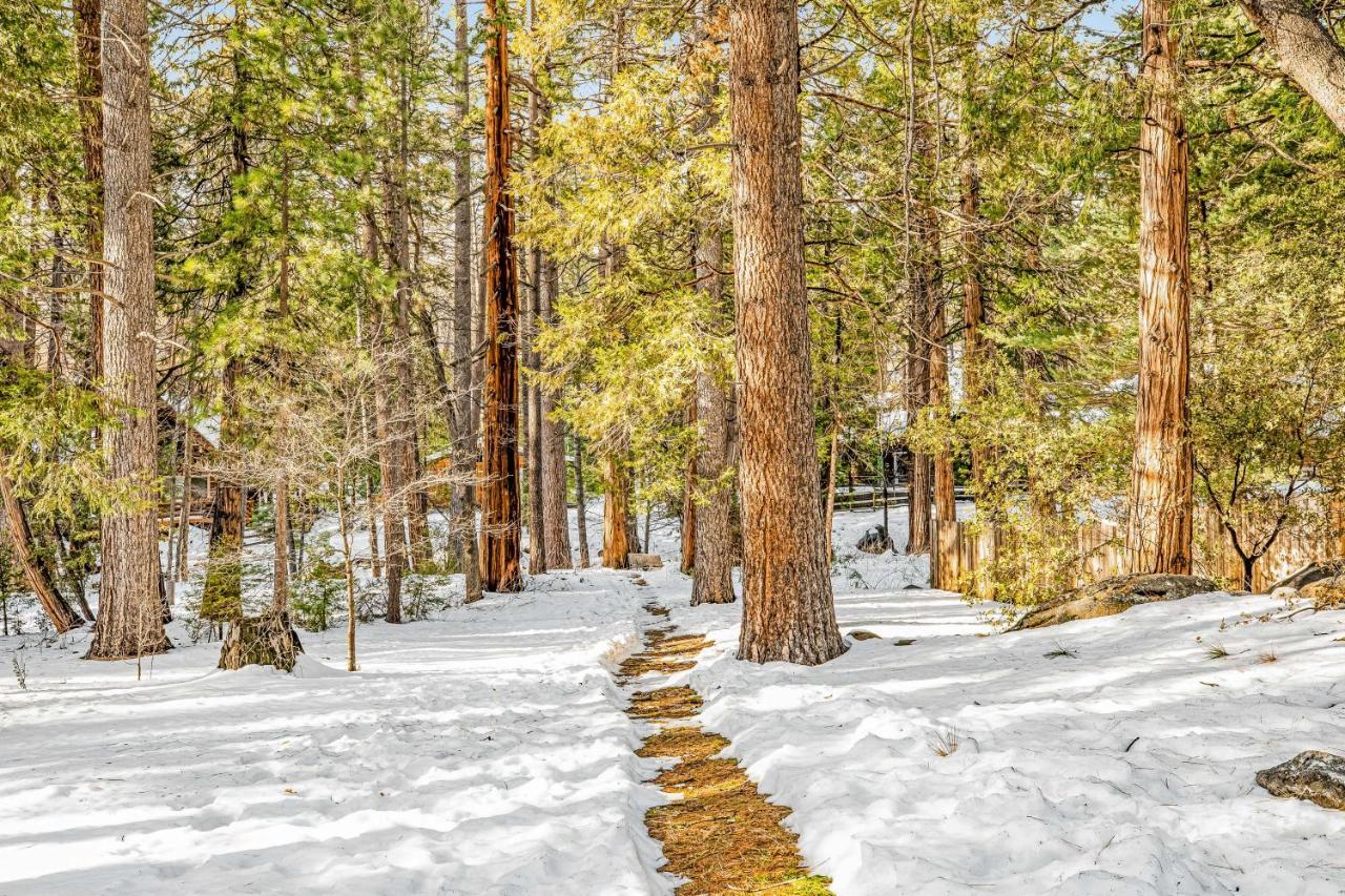 Creekside Cabin Hotel Idyllwild Esterno foto